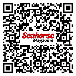 Seahorse discount
